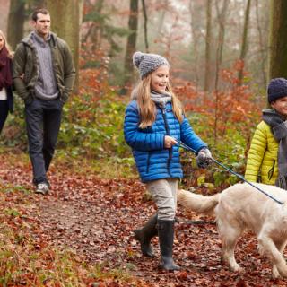 Family walking dog in woods